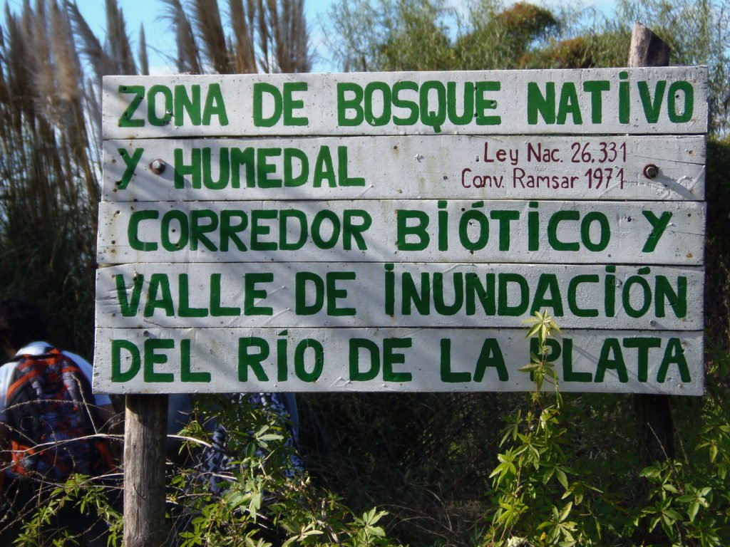 Descubre un misterioso y salvaje bosque en el río de Quilmes