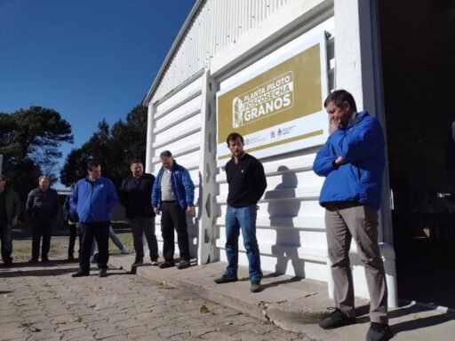 Planta INTA El INTA inauguró en Balcarce una planta piloto para la investigación y desarrollo de tecnologías orientadas al almacenamiento, acondicionamiento y procesamiento de granos, semillas y subproductos.
