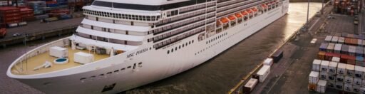 Verano 2023: el turismo de crucero estableció un récord en enero