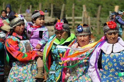 Repudio de la Iglesia al negacionismo contra los mapuches