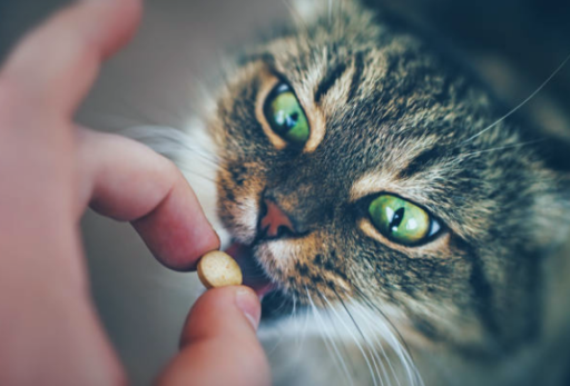 Se habilitó la venta de medicamentos para uso en animales de compañía