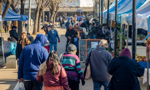 Comenzó la convocatoria para Ecoferia 