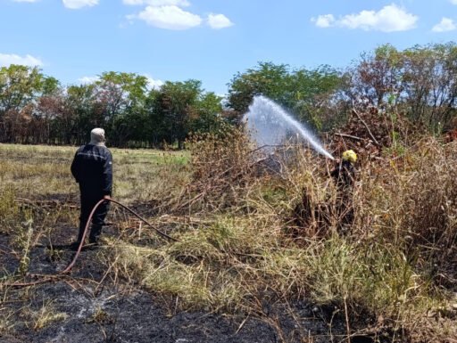 La Municipalidad denuncio penalmente a un vecino por delitos ambientales